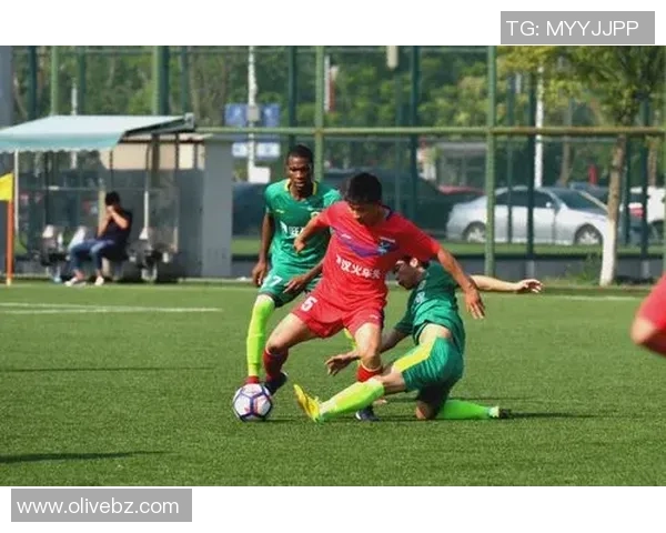 武汉足球队实力强劲荣登全国足球实力排行榜第六名